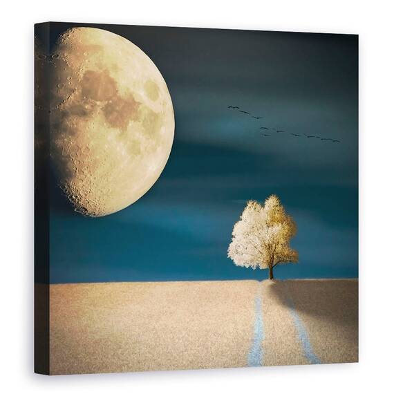 Tablou Canvas - Gmo, Marime: 60 x 60 cm - - Roveli