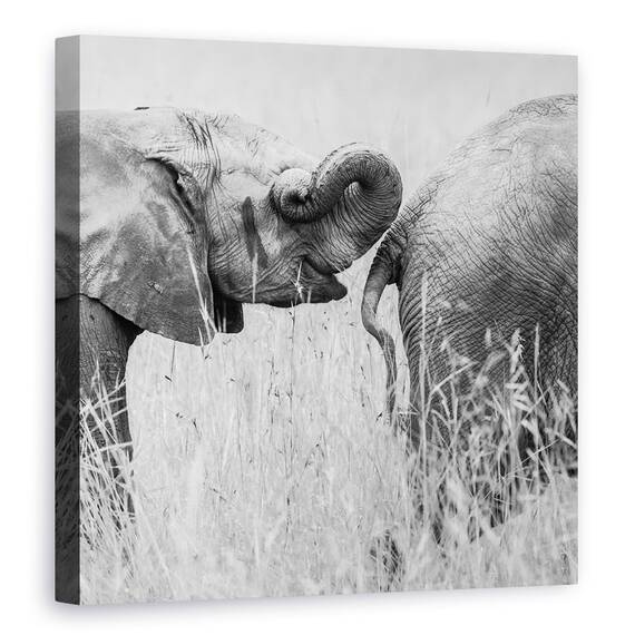 Tablou Canvas - Itrunk, Marime: 60 x 60 cm - - Roveli