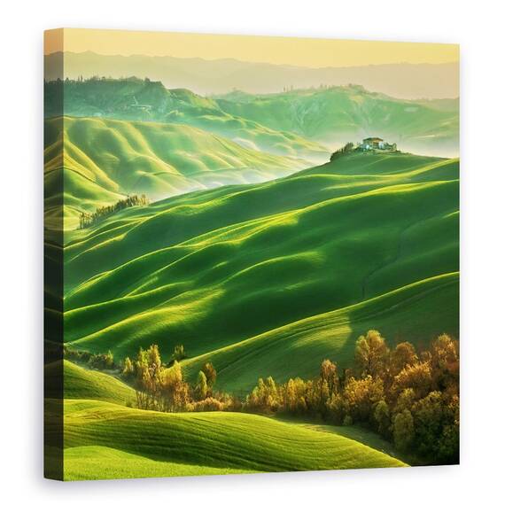 Tablou Canvas - Mucigliani, Marime: 60 x 60 cm - - Roveli