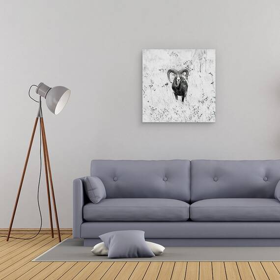 Tablou Canvas - Natura, Marime: 60 x 60 cm - 2- Roveli