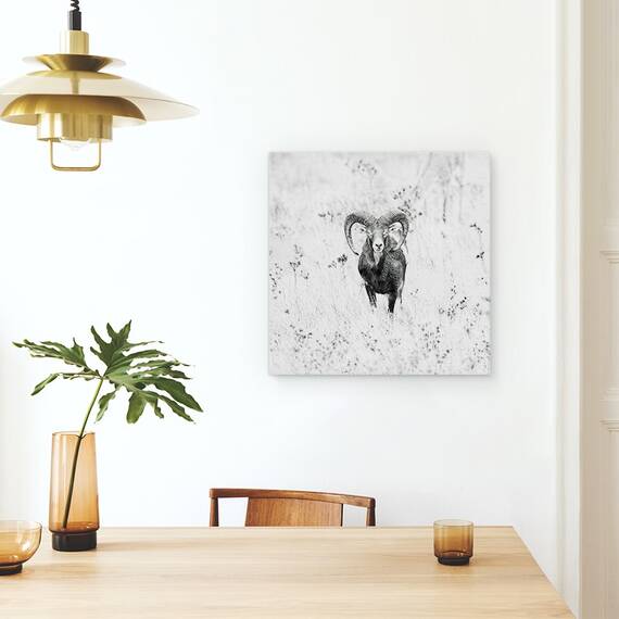 Tablou Canvas - Natura, Marime: 60 x 60 cm - 4- Roveli