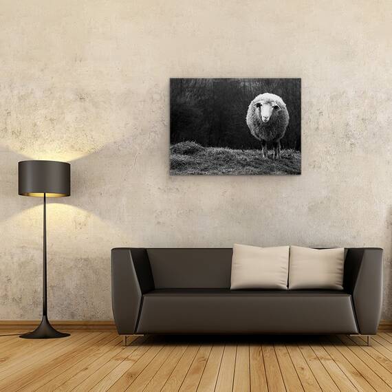 Tablou Canvas - Oaie Singuratica, Marime: 50 x 70 cm - 2- Roveli