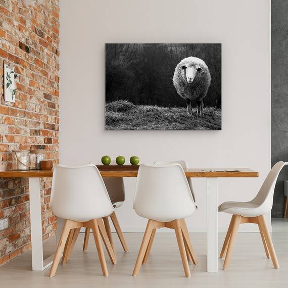 Tablou Canvas - Oaie Singuratica, Marime: 50 x 70 cm - 4- Roveli