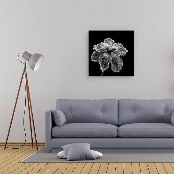 Tablou Canvas - Papagalul Tulip, Marime: 60 x 60 cm - 2- Roveli