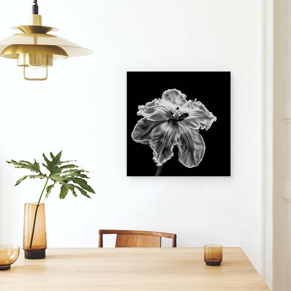 Tablou Canvas - Papagalul Tulip, Marime: 60 x 60 cm - 4- Roveli