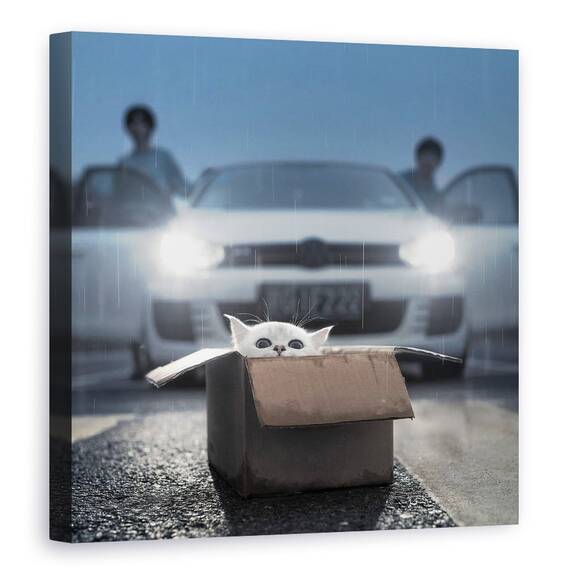 Tablou Canvas - Pisica, Marime: 60 x 60 cm - - Roveli