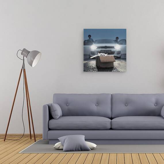 Tablou Canvas - Pisica, Marime: 60 x 60 cm - 2- Roveli