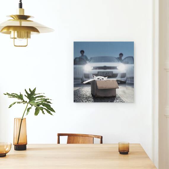Tablou Canvas - Pisica, Marime: 60 x 60 cm - 4- Roveli