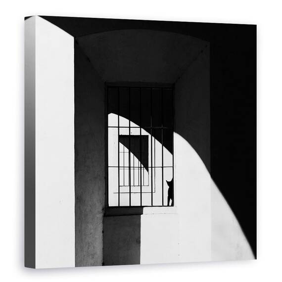 Tablou Canvas - Pisica Neagra, Marime: 60 x 60 cm - - Roveli