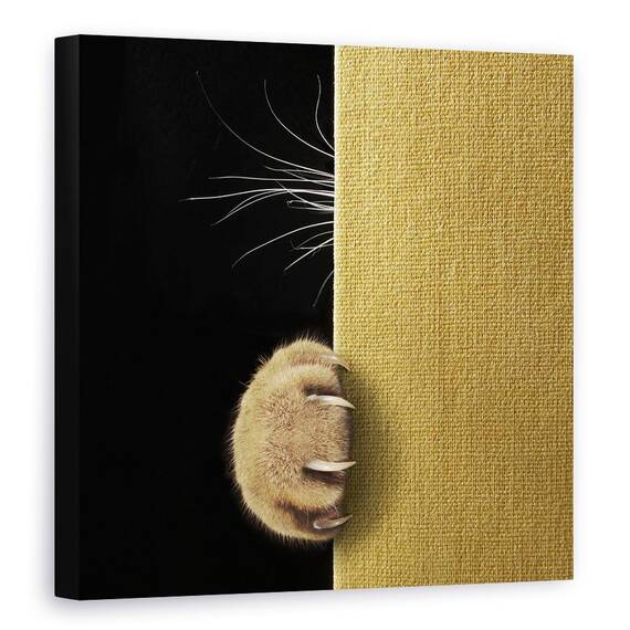Tablou Canvas - Pisica Timida, Marime: 60 x 60 cm - - Roveli