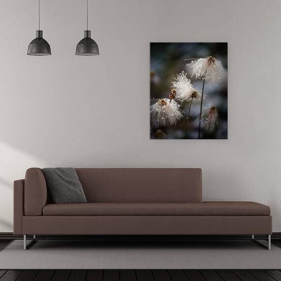Tablou Canvas - Rochia Cea Noua, Marime: 40 x 50 cm - 2- Roveli