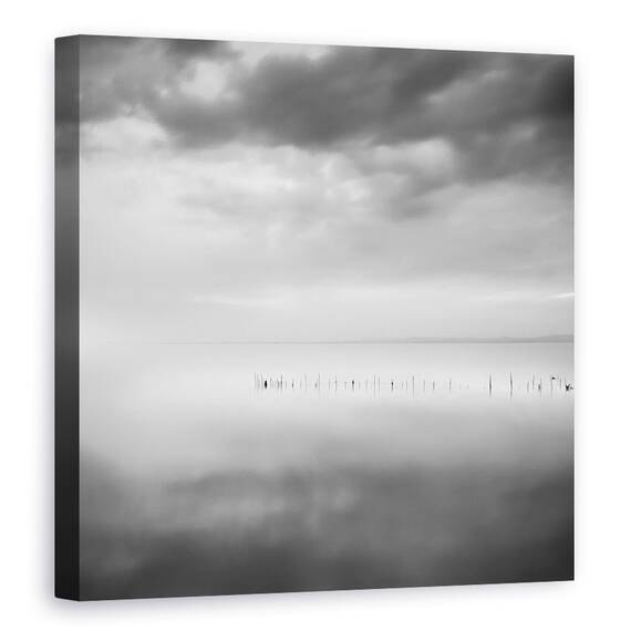 Tablou Canvas - Saizeci De Nuante De Gri, Marime: 60 x 60 cm - - Roveli