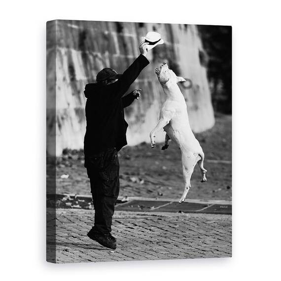 Tablou Canvas - Sarind Cu Prietenul Meu, Marime: 50 x 70 cm - - Roveli
