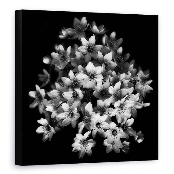 Tablou Canvas - Senzatie Timpurie, Marime: 60 x 60 cm - - Roveli