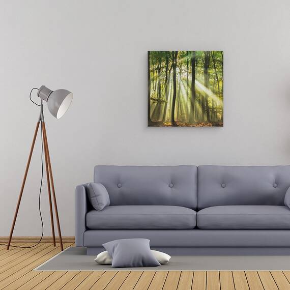 Tablou Canvas - Sunny Incepe Ziua, Marime: 60 x 60 cm - 2- Roveli