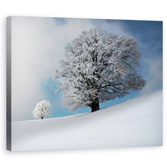 Tablou Canvas - Sunt Cel Mai Frumos, Marime: 40 x 50 cm - - Roveli