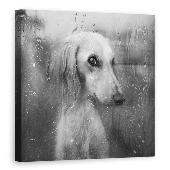 Tablou Canvas - Toamna, Marime: 60 x 60 cm - - Roveli