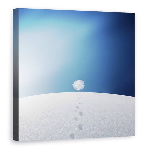 Tablou Canvas - Un Copac In Camp, Marime: 60 x 60 cm - - Roveli