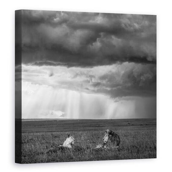 Tablou Canvas - Valentine, Marime: 60 x 60 cm - - Roveli