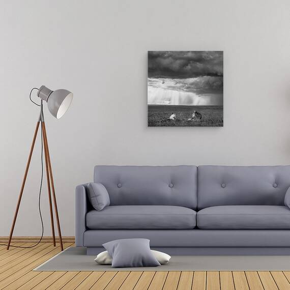 Tablou Canvas - Valentine, Marime: 60 x 60 cm - 2- Roveli