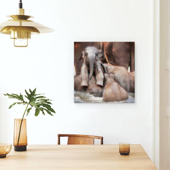 Tablou Canvas - Victor Cel Mandru Sau Stralucirea Invingatorului, Marime: 60 x 60 cm - 4- Roveli