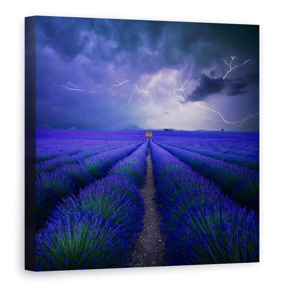 Tablou Canvas - Vremea In Lavendelfeld, Marime: 60 x 60 cm - - Roveli
