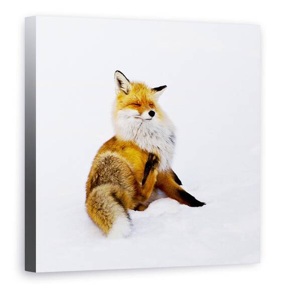 Tablou Canvas - Winterfox, Marime: 60 x 60 cm - - Roveli