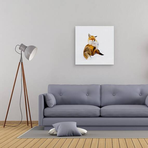 Tablou Canvas - Winterfox, Marime: 60 x 60 cm - 2- Roveli