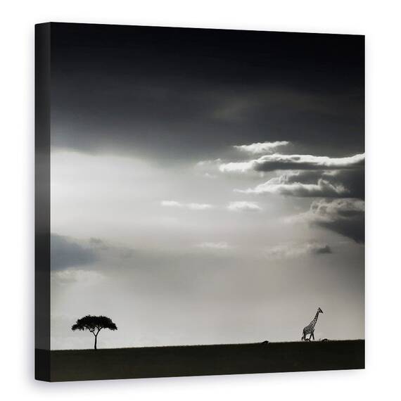 Tablou Canvas - 15 Minute De Fericire, Marime: 60 x 60 cm - - Roveli