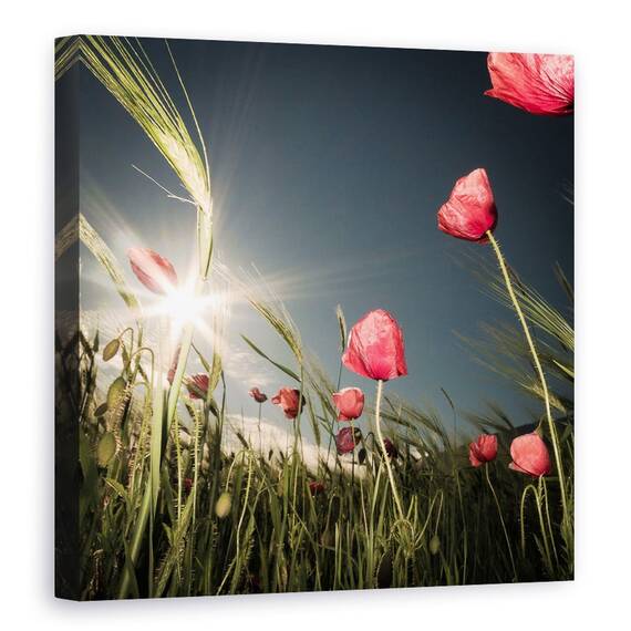 Tablou Canvas - A Venit Vara, Marime: 60 x 60 cm - - Roveli
