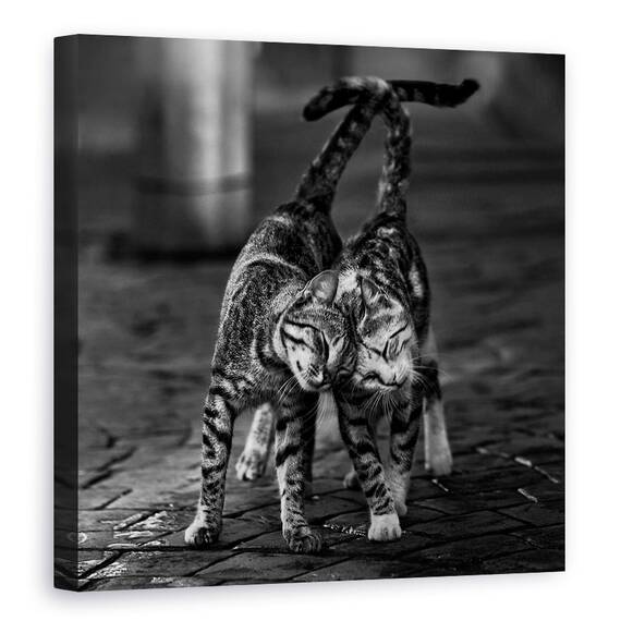 Tablou Canvas - Alb-Negru, Marime: 60 x 60 cm - - Roveli