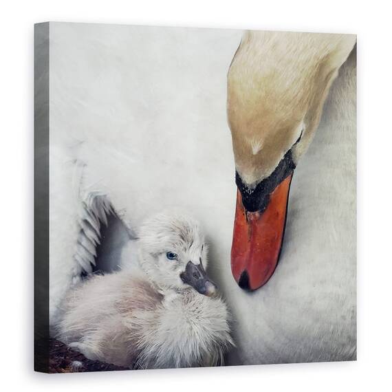 Tablou Canvas - Aproape De Tine, Marime: 60 x 60 cm - - Roveli