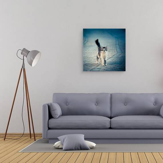 Tablou Canvas - Bufnita Mica, Marime: 60 x 60 cm - 2- Roveli