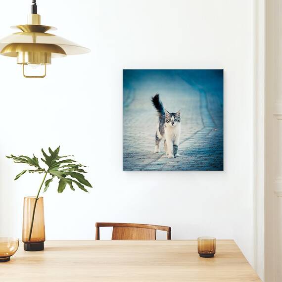 Tablou Canvas - Bufnita Mica, Marime: 60 x 60 cm - 4- Roveli