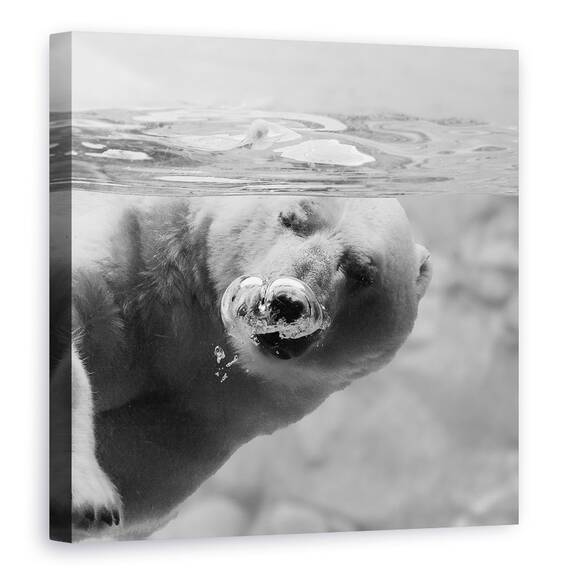 Tablou Canvas - Bule, Marime: 60 x 60 cm - - Roveli