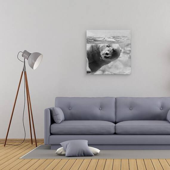 Tablou Canvas - Bule, Marime: 60 x 60 cm - 2- Roveli