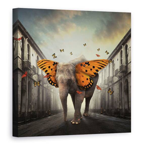Tablou Canvas - Butterphant, Marime: 60 x 60 cm - - Roveli