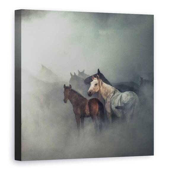 Tablou Canvas - Caii Pierduti, Marime: 60 x 60 cm - - Roveli