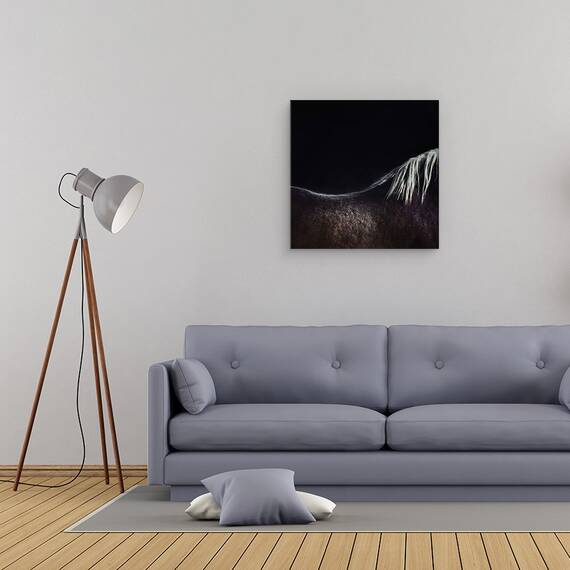 Tablou Canvas - Calul Gol, Marime: 60 x 60 cm - 2- Roveli