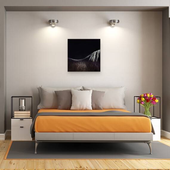 Tablou Canvas - Calul Gol, Marime: 60 x 60 cm - 3- Roveli