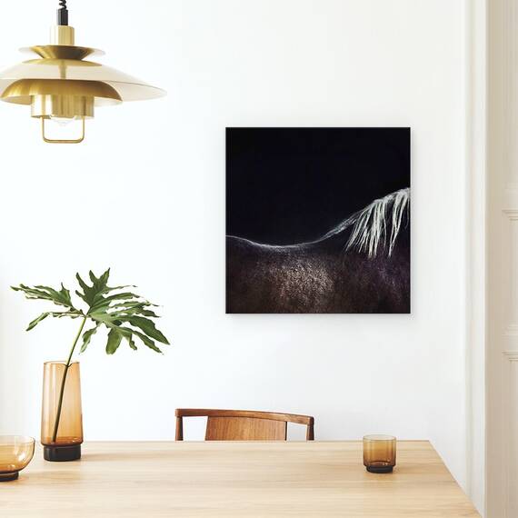 Tablou Canvas - Calul Gol, Marime: 60 x 60 cm - 4- Roveli