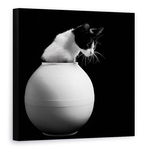 Tablou Canvas - Chanel, Marime: 60 x 60 cm - - Roveli