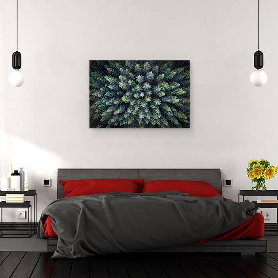 Tablou Canvas - Copac Mort Inconjurat De Copaci Vii, Marime: 40 x 60 cm - 3- Roveli