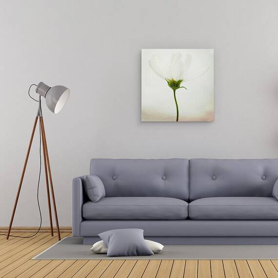 Tablou Canvas - Cosmos Alb, Marime: 60 x 60 cm - 2- Roveli