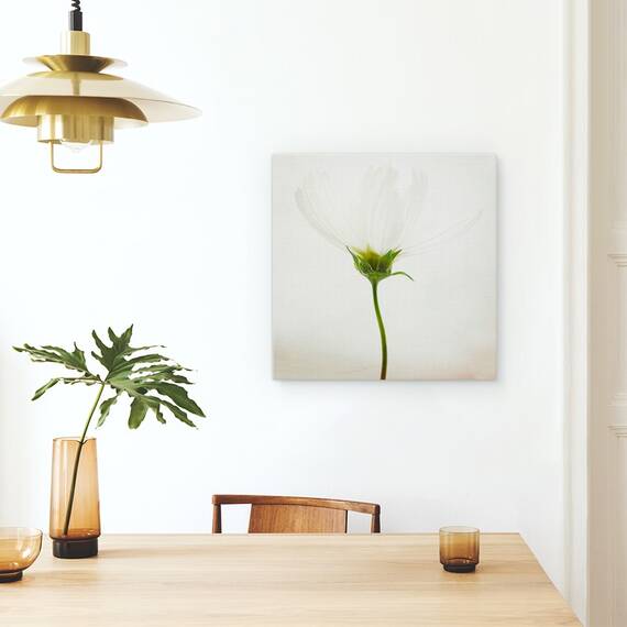 Tablou Canvas - Cosmos Alb, Marime: 60 x 60 cm - 4- Roveli