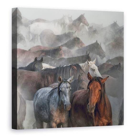 Tablou Canvas - Doi Cai, Marime: 60 x 60 cm - - Roveli