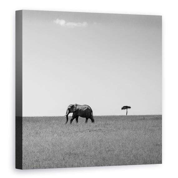 Tablou Canvas - Elefantul Si Norul Prietenos, Marime: 60 x 60 cm - - Roveli