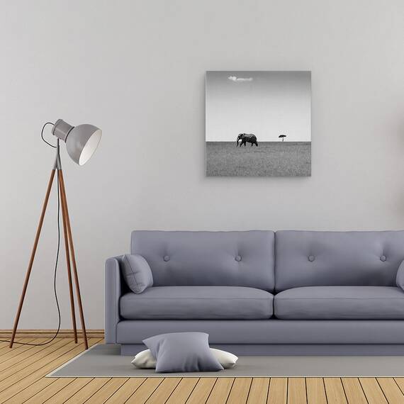 Tablou Canvas - Elefantul Si Norul Prietenos, Marime: 60 x 60 cm - 2- Roveli