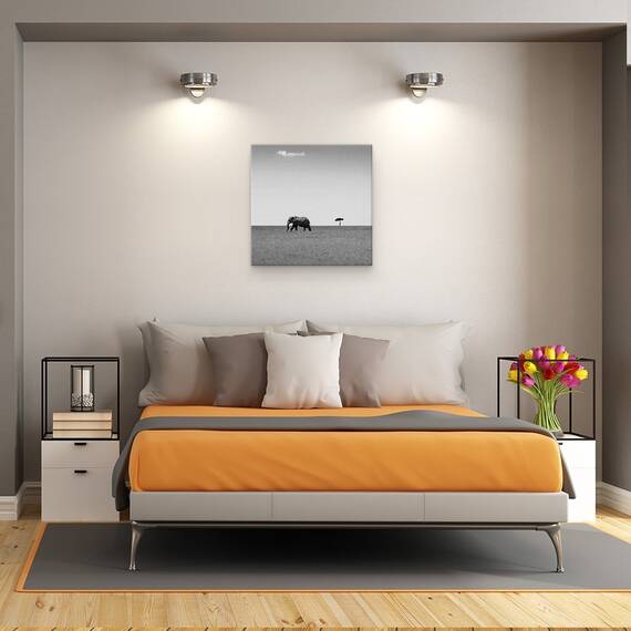 Tablou Canvas - Elefantul Si Norul Prietenos, Marime: 60 x 60 cm - 3- Roveli