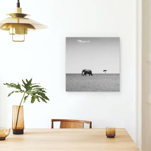Tablou Canvas - Elefantul Si Norul Prietenos, Marime: 60 x 60 cm - 4- Roveli